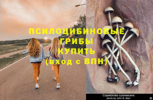 mdma Зеленодольск