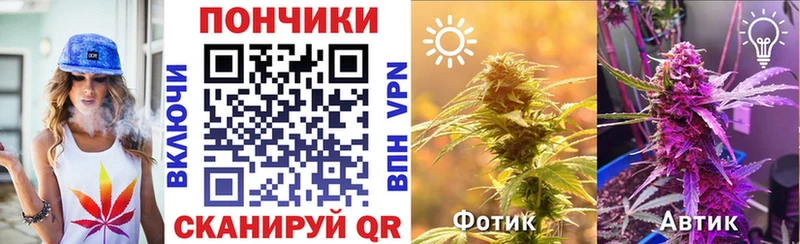 Канабис VHQ  Купить закладки  Гдов 
